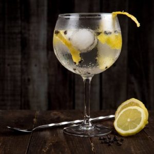 gin tonic
